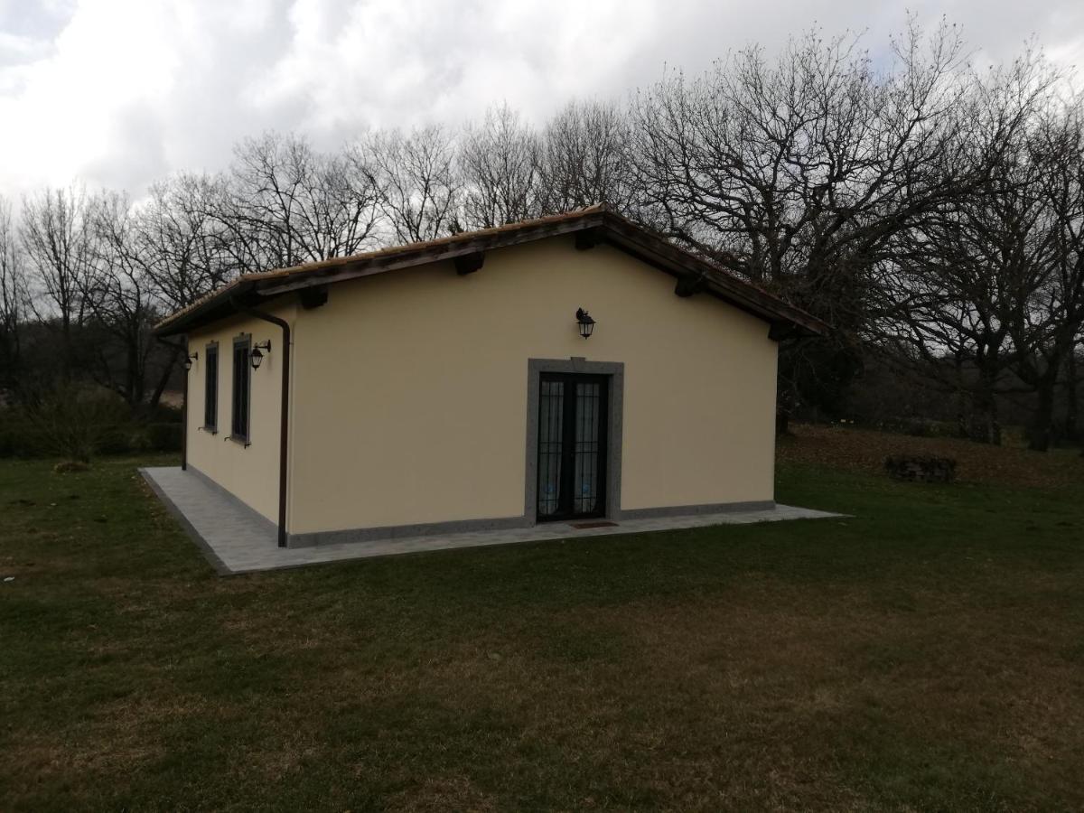 Podere Bianca Maria Nepi