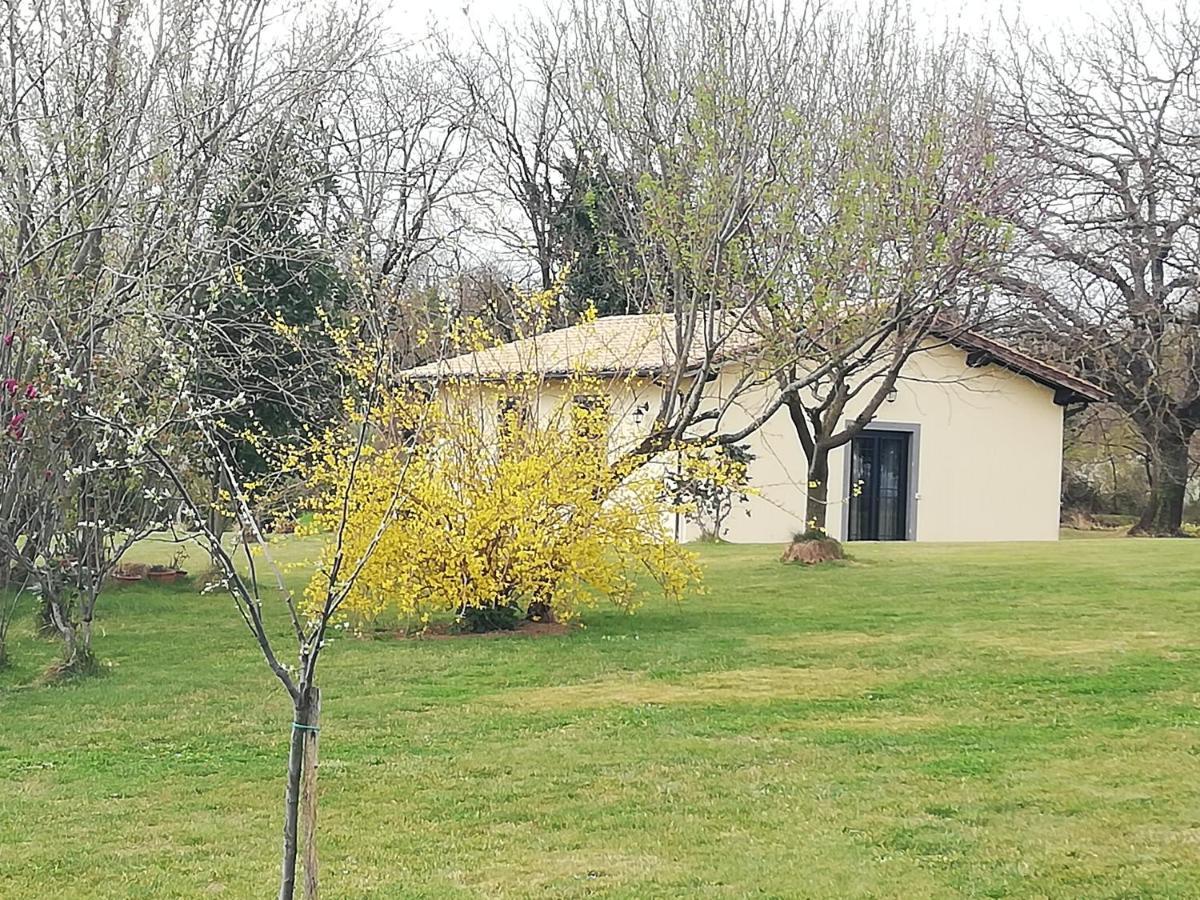 Agroturismo Podere Bianca Maria Nepi