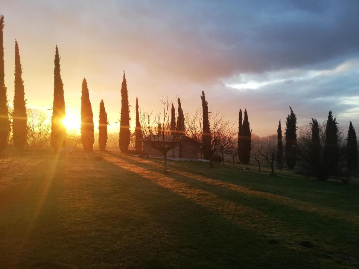 Podere Bianca Maria Agroturismo *