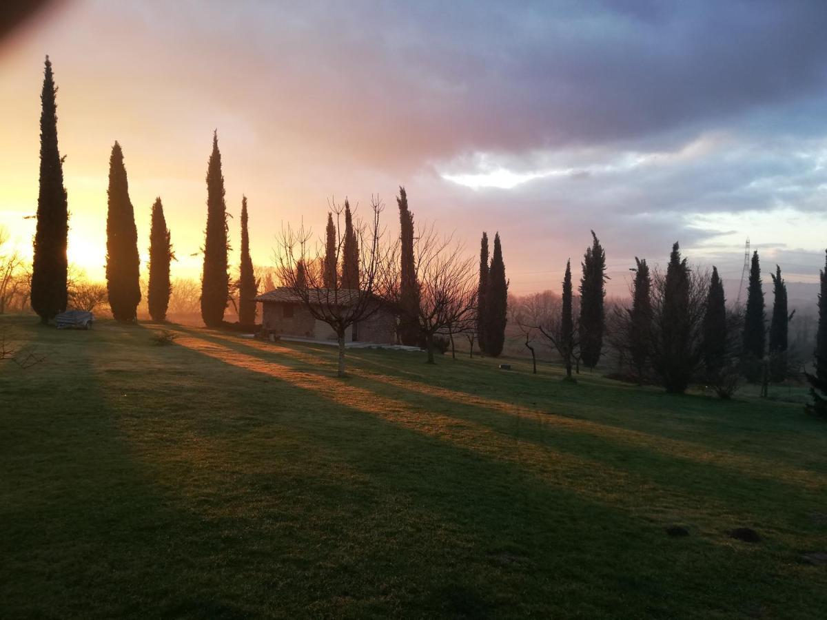 Podere Bianca Maria Nepi